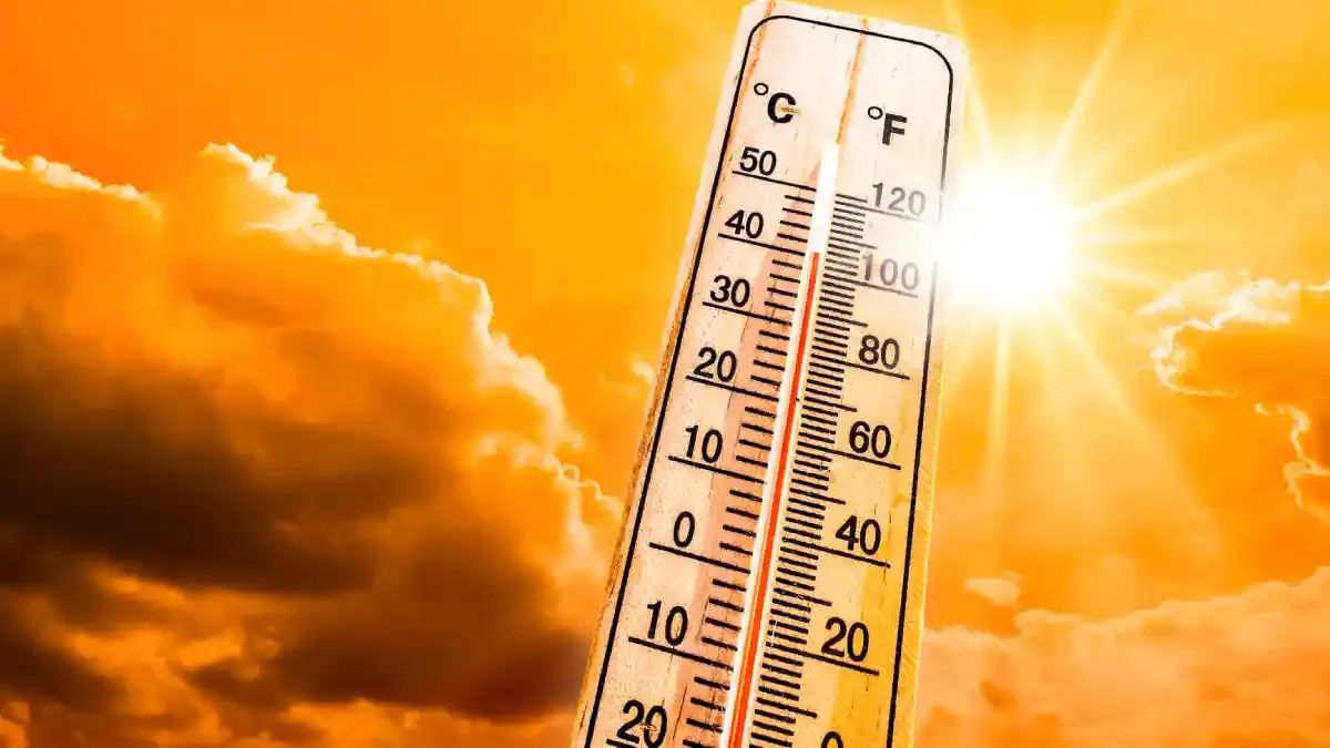வெப்பம் 2-3° செல்சியஸ் வரை படிப்படியாக உயரக்கூடும் - வானிலை மையம் அலர்ட்!